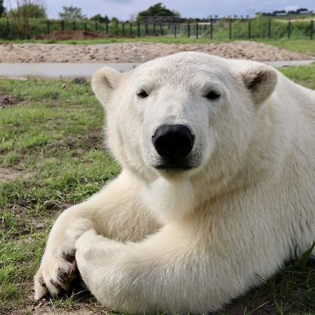 Chic 2 Bed Peak District Cottage Barn Near Alton Towers, Polar Bears, Chatsworth House Leek Exteriör bild